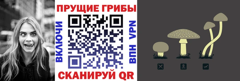 мега вход Баксан Галлюциногенные грибы Magic Shrooms
