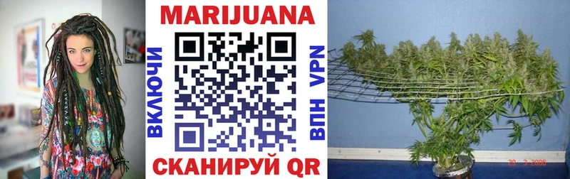 площадка формула  Баксан  МАРИХУАНА AK-47 